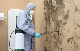 Best Residential Mold Inspection & Testing  in Mount Olive, NC